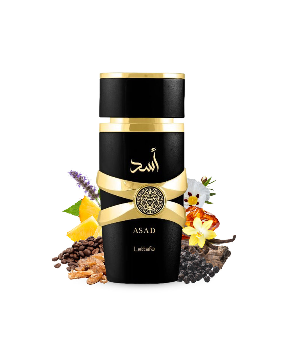 YARA ASAD Inspiration : L'Impératrice - Dolce Gabbana